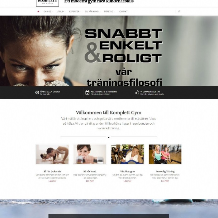 Referensbild Hemsidor