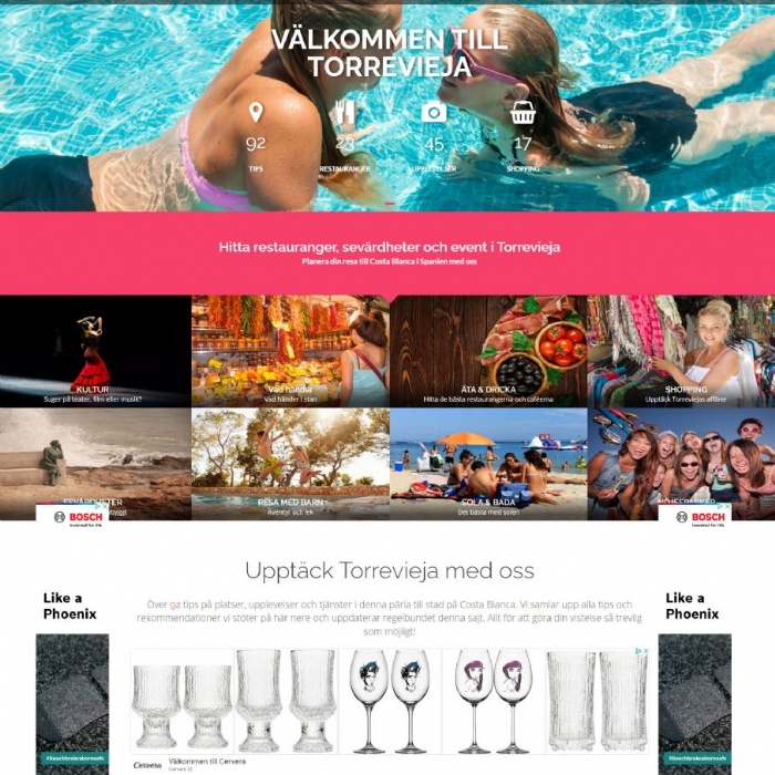 Referensbild Hemsidor